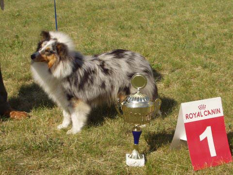 daughter of Gucci-BEST In SHOW 6.6.04